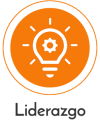 The power people- áreas, liderazgo