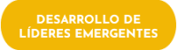 Desarrollo de líderes emergentes